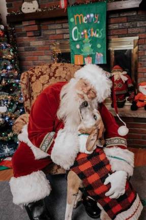 One of the pups from Father John’s Animal Shelter snuggles up with Santa. Photos provided.