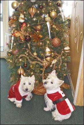 Every critter's in the holiday spirit