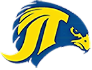 Falcons win sectional title