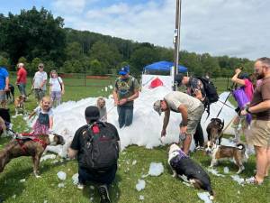 Puppy foam parties were part of the fifth annual Pupstock Festival on Saturday, July 8 in Augusta. (Photos by Daniele Sciuto)