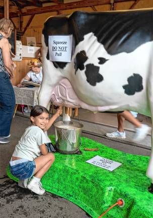 <b>Trinity De Vito at an exhibit on milking cows Saturday, Aug. 2. (Photo by Nancy Madacsi)</b>