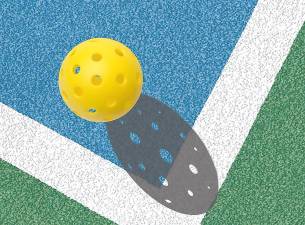 Pickleball court eyed for Woodbourne Park