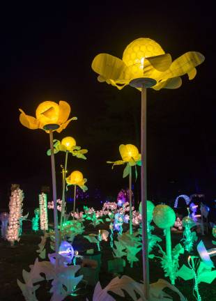 Glowing dandelions in a field of intergalactic flowers.