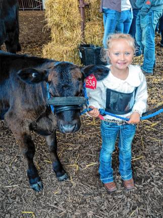 <b>Kinsley Loggan and her calf at the fair Tuesday, Aug. 5. (Photo by Nancy Madacsi)</b>