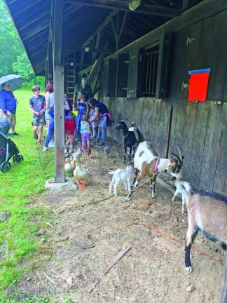 People take cover from the rain amid the goats, sheep and ducks on display.
