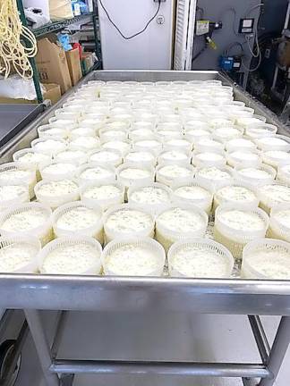 The cheesemaking process.