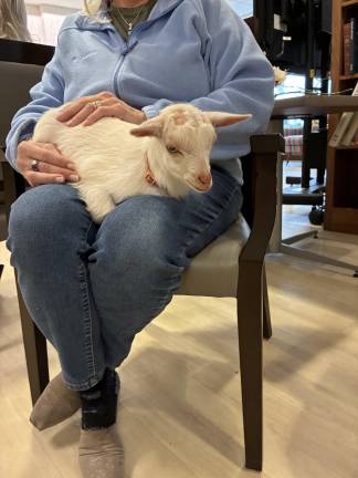 Hearts and Hooves 4-H Club brings baby goats to Bristol Glen residents