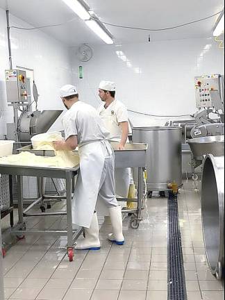 The cheesemaking process.