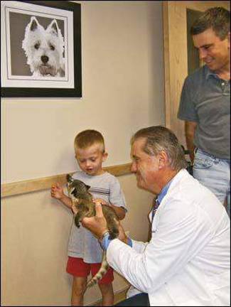 Meeting a Coatimundi