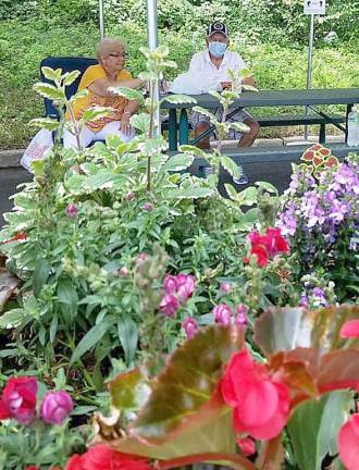 Volunteers and donated plants and planters create a pleasant area for senior dining (Photo provided)