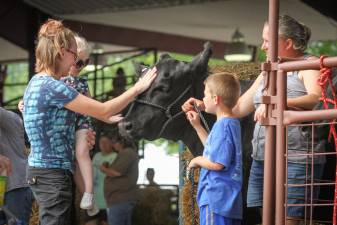 Top 10 things to do at the NJ State Fair this year