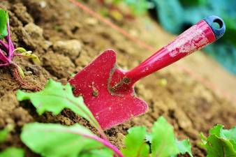 Gardening conference today at SCCC