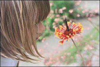 Karen Ann Quinlan Hospice Butterfly Release Celebration set to soar over three counties