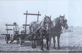 <b>Waiting for hay at Bellvale Farms in Warwick, N.Y. (Photos courtesy of Amy Noteboom)</b>