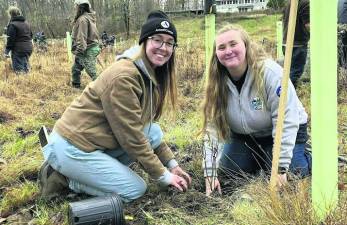 Local Realtors, environmental groups plan tree planting at Culver Brook Preserve