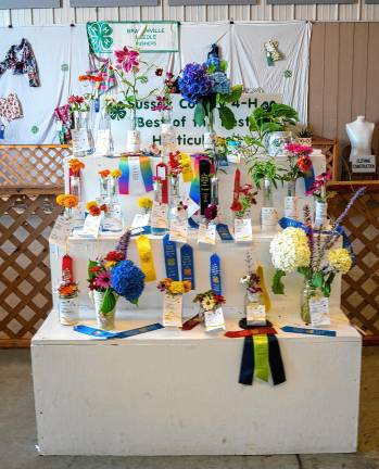 <b>Entries in the 4-H flower contest Saturday, Aug. 2. (Photo by Nancy Madacsi)</b>