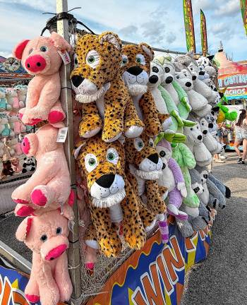 <b>Saturday, Aug. 2. </b>(Photo by Denise von Wilke)