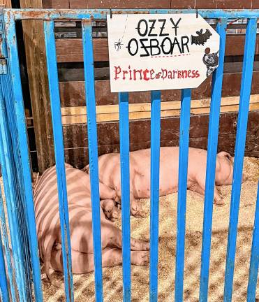 <b>Saturday, Aug. 2. </b>(Photo by Denise von Wilke)