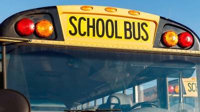 School bus accident causes injury