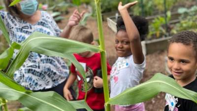 Children explore the community gardens as part of Project Self-Sufficiency’s annual Project Vacation. (Photo provided)