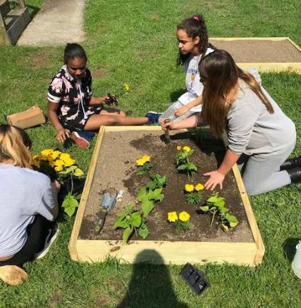 Middle-schoolers construct garden