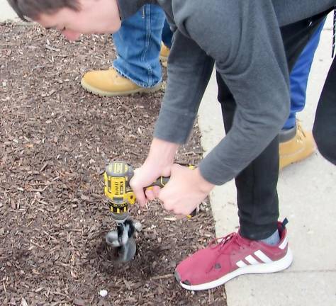 Wallkill Valley students plant 100 red tulips