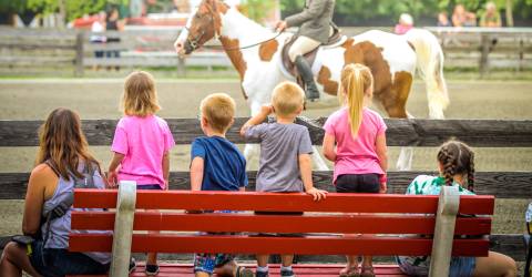 Top 10 things to do at the New Jersey State Fair this year