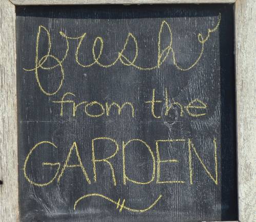 PHOTOS BY JANET REDYKE Jersey Fresh was actively available at the Vernon Farmer's Market again this month on July 27.