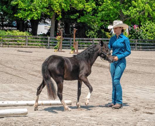 <b>Charlee Zerbo with Frenchy on Saturday, Aug. 2. (Photo by Nancy Madacsi)</b>
