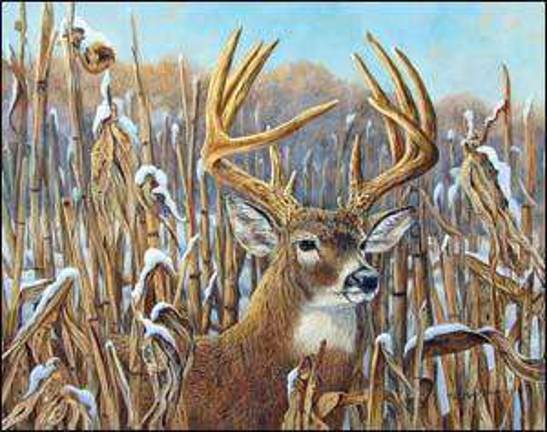 Wildlife artist readies a holiday show and sale