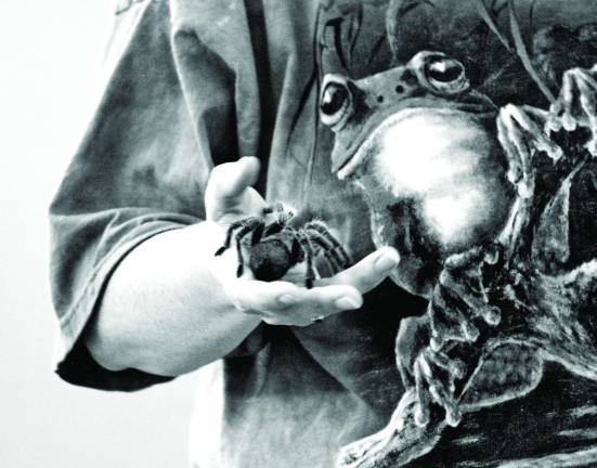 Wriggling reptiles at Great Beginnings