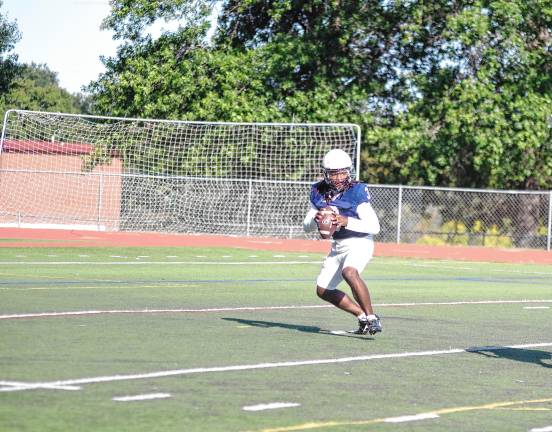 <b>Sussex quarterback Maurice Williams holds the ball.</b>