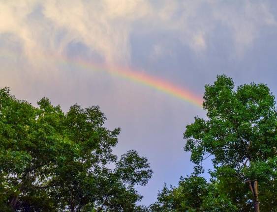 As a weekend thunderstorm moved out, this appeared over a clearing. The setting sun intensified the cloud and leaf colors.