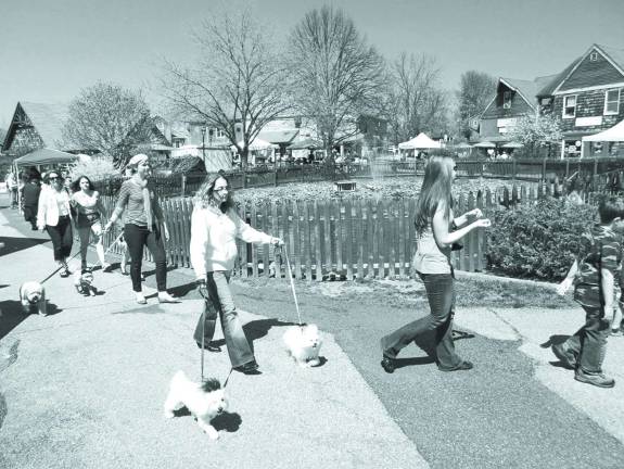 Dotty Waldemore of Stillwater with her maltese dogs Alabama and Tennessee.