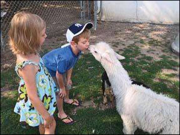 Get ready for the Big Bandingo' at the Layton Hotel Bar & Grill