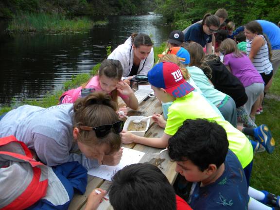 Students learn to protect local waterways