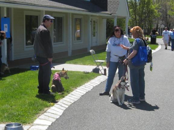 Dogs on leashes were welcome at Pet Lovers Fest, benefiting Father John’s Animal House in Sparta.