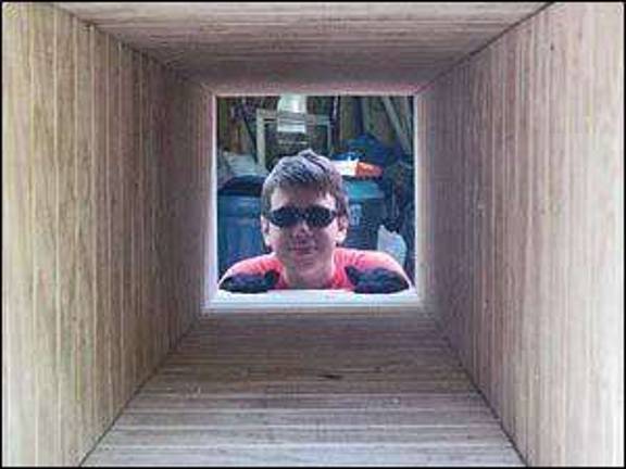 Scouts work to aid the endangered little chimney swifts