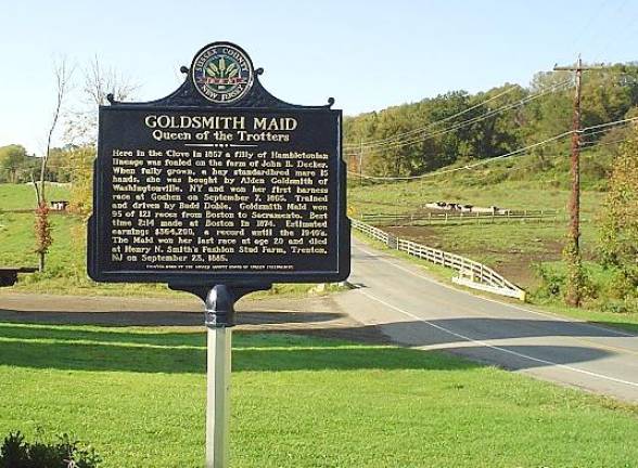 This historical marker tells of Goldsmith Maid, a horse known as ‘The Queen of the Trotters.’