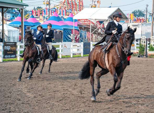 <b>The horse show Tuesday, Aug. 5. (Photo by Nancy Madacsi)</b>
