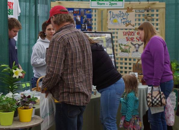 Visitors shown exploring Springfest last weekend.