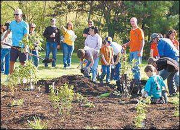 Calling all butterflies