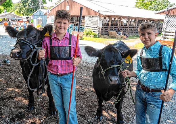<b>Jacob Cramer and Westen Crawe at the dairy competition Tuesday, Aug. 5. (Photo by Nancy Madacsi)</b>