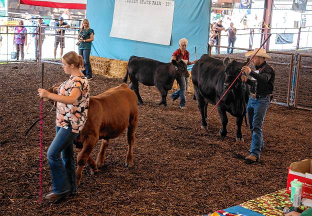 <b>The dairy competition Tuesday, Aug. 5. (Photo by Nancy Madacsi)</b>