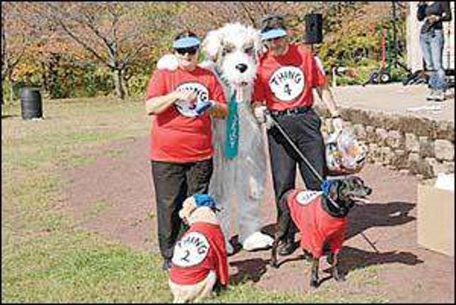 It's all going to the dogs ... and cats