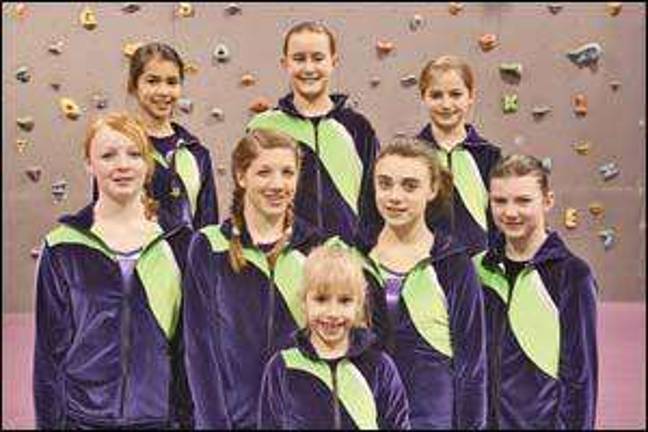 Schutz Gymnasts shine at gymnastics meet
