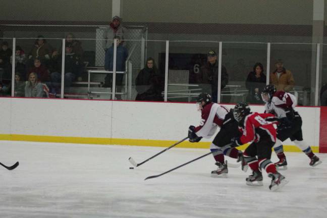 Newton-Lenape Valley win hockey matchup