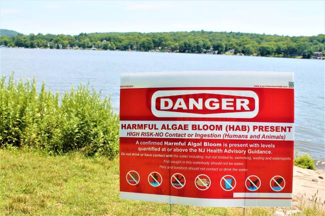 A lakeside sign at Brown's Point Park warning of danger of harmful algae bloom was put up by the state Tuesday morning. Garrett hemmerich photo