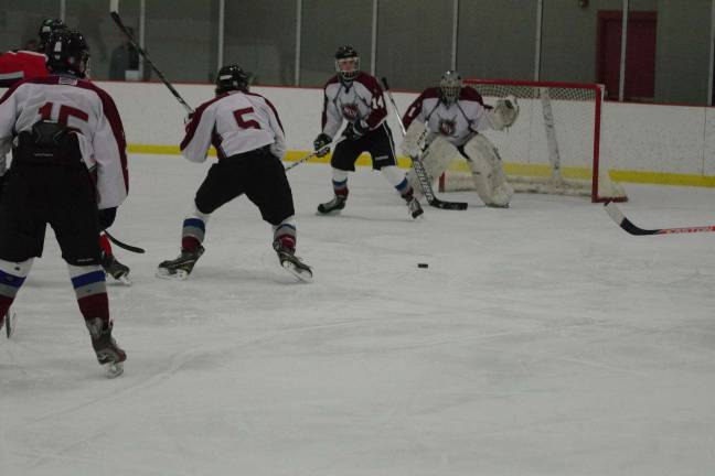 Newton-Lenape Valley win hockey matchup