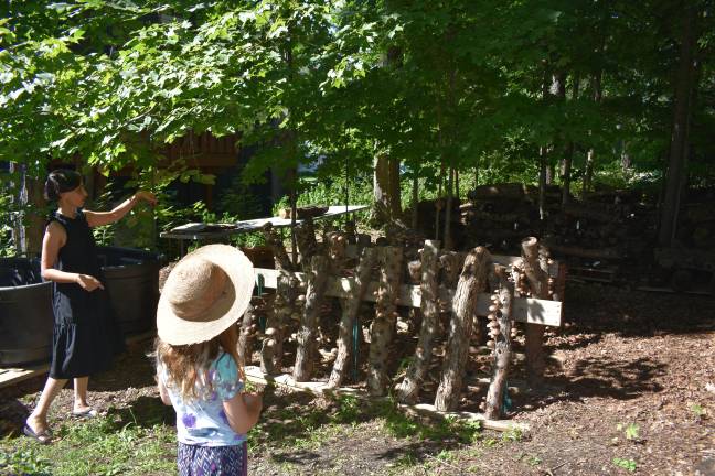 Aysha Venjara shows attendees how she grows mushrooms on logs outside her Chester, N.Y. home. Venjara’s garden is one of over a dozen to see during the Aug. 3 tour.